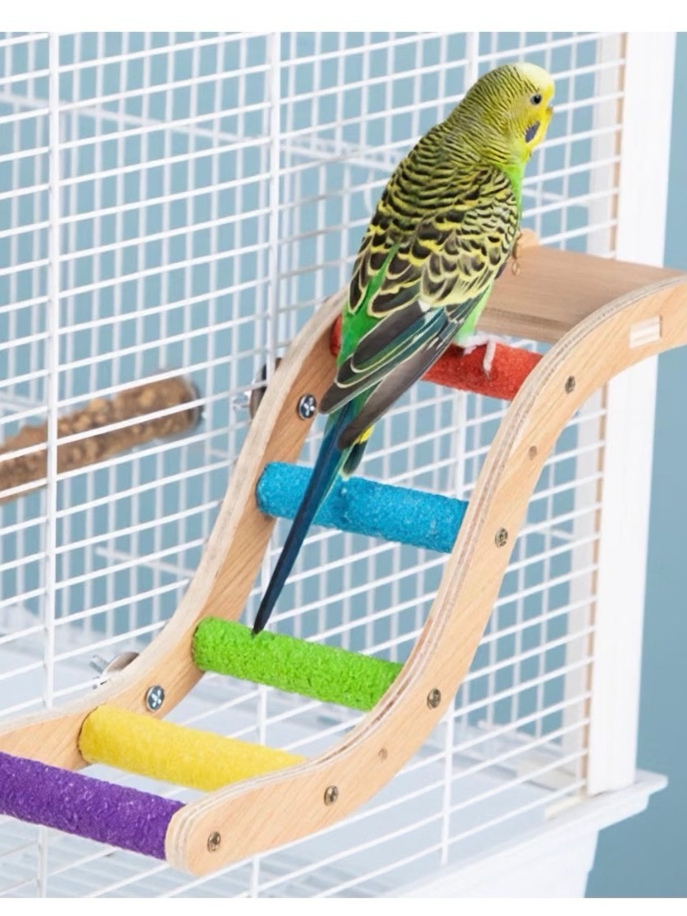 Multicolor Wooden Bird Ladder Perch for Pet Birds - Green